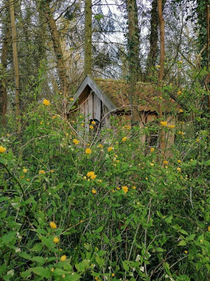 Ferienwohnung Ehemalige Revierfoersterei "Uns Luett" Kuhstorf Kültér fotó